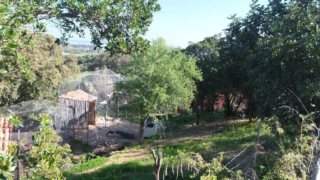 Bed & Breakfast Camera Vista Mare, Ingresso Indipendente In